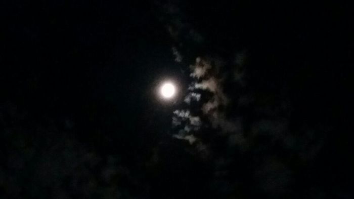 2夜連続スペシャルお月様