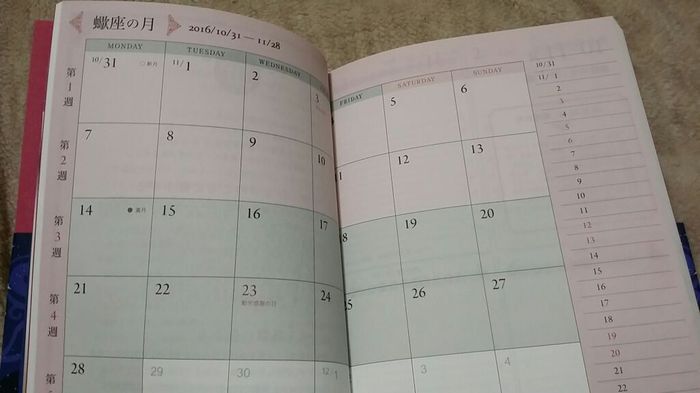 11月スタート