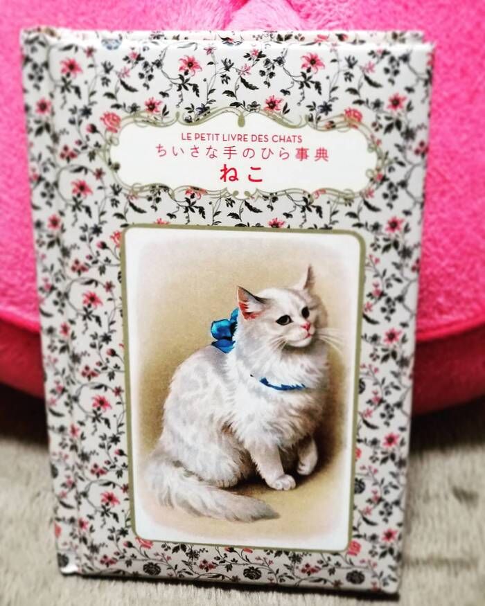 今日は猫の日 フラメンコとネコ
