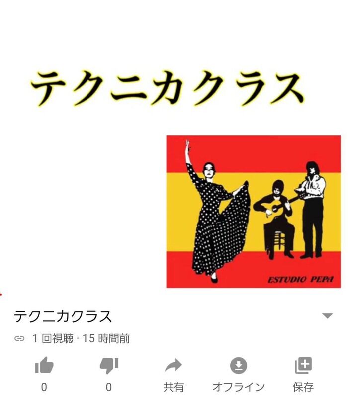 動画配信レッスンで我晴（ガンバ）る　～日常がフラメンコ～